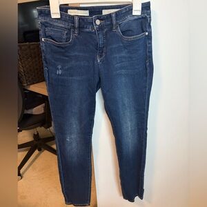 Pilcro and the Letterpress - Anthropologie - Dark Blue Skinny Jeans size 29